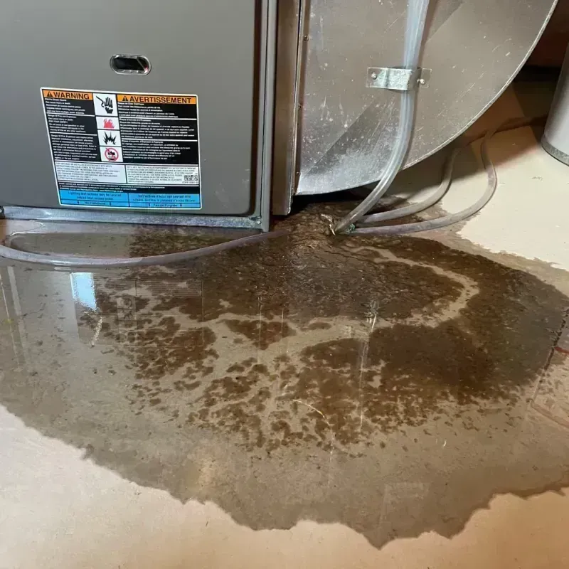 Appliance Leak Cleanup in Berkeley, MO